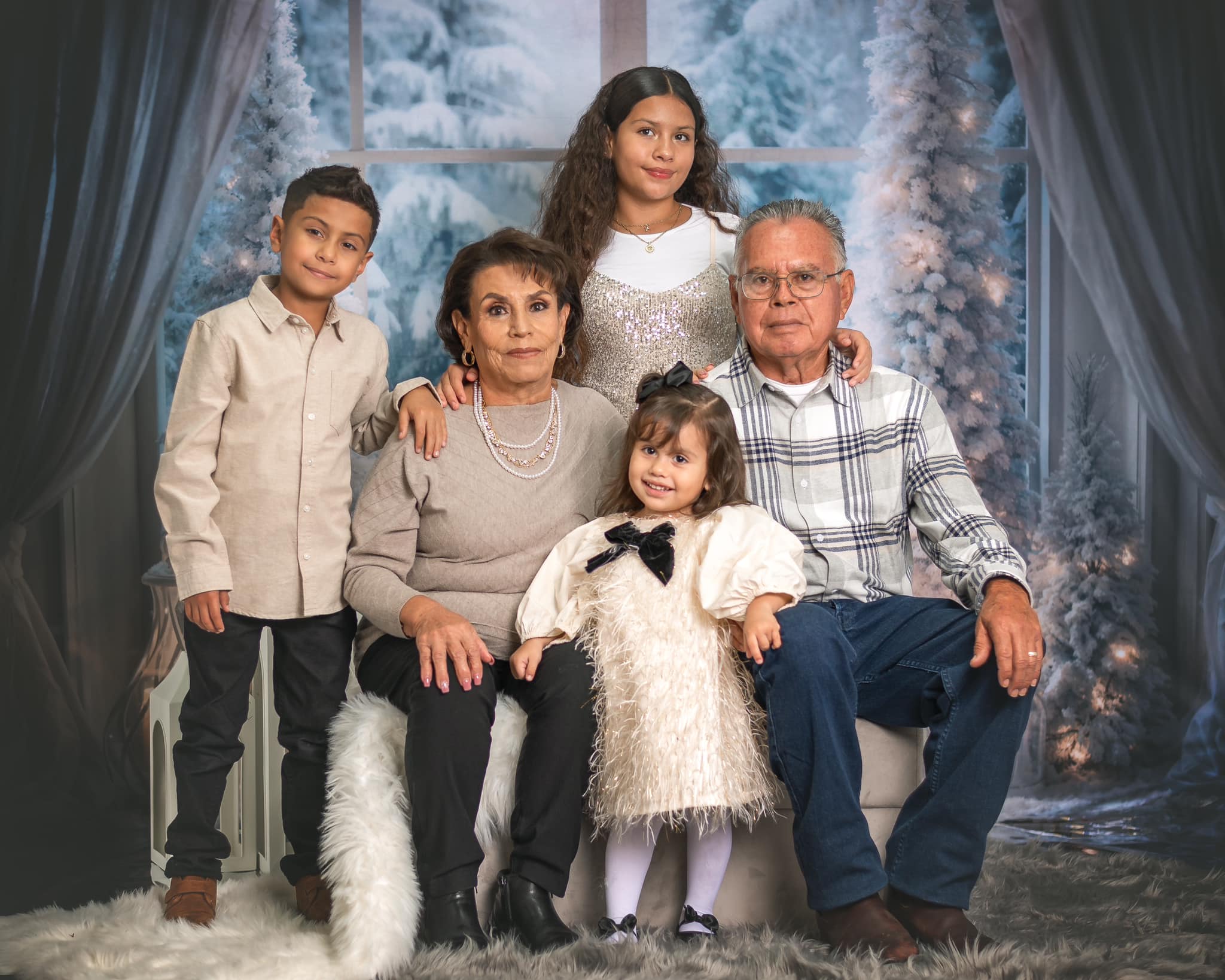 Kate Winter Christmas Tree Window Light Fleece Backdrop Designed by Emetselch - Kate Backdrop AU