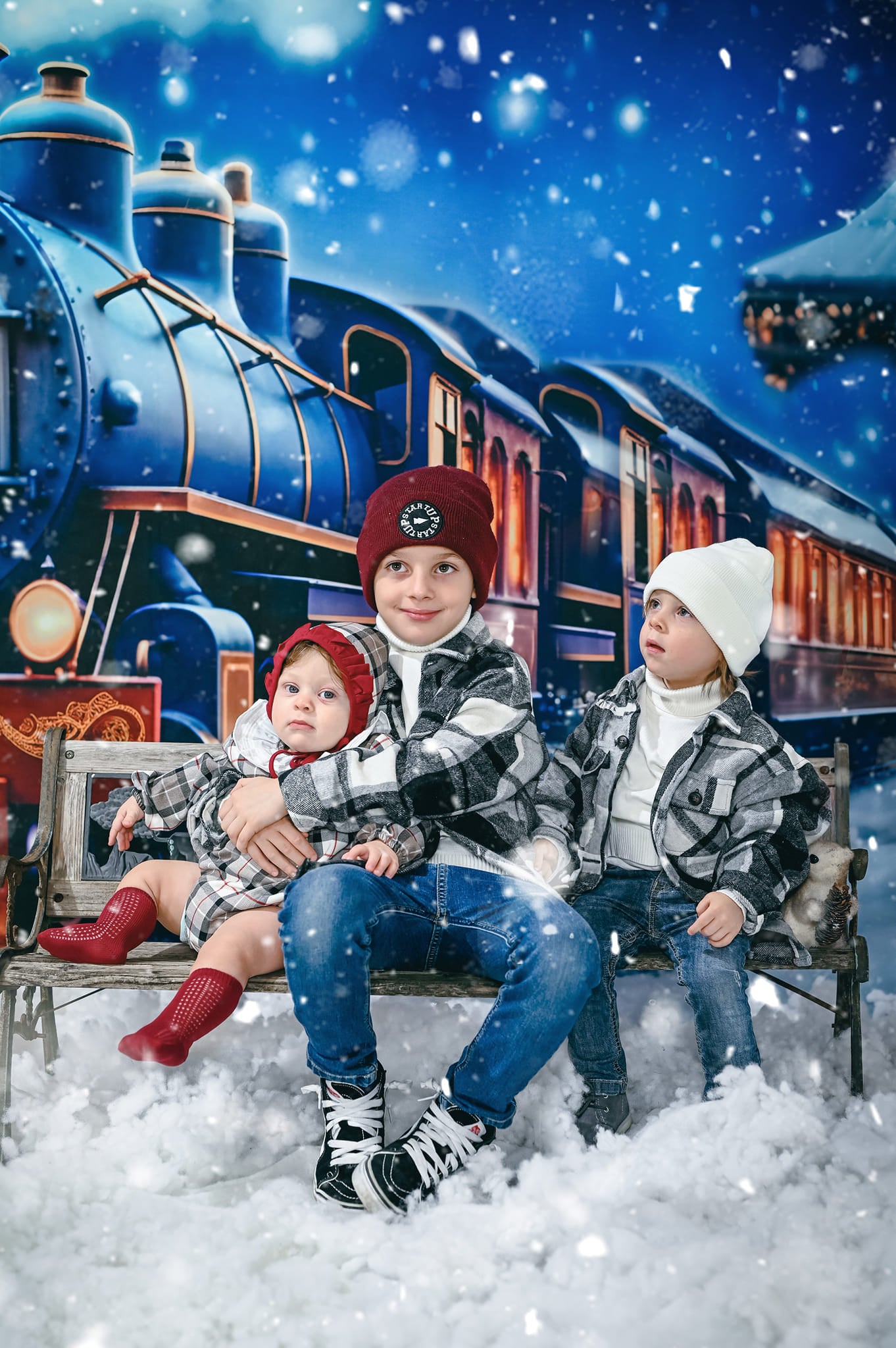 Kate Christmas Winter Train Backdrop for Photography - Kate Backdrop AU