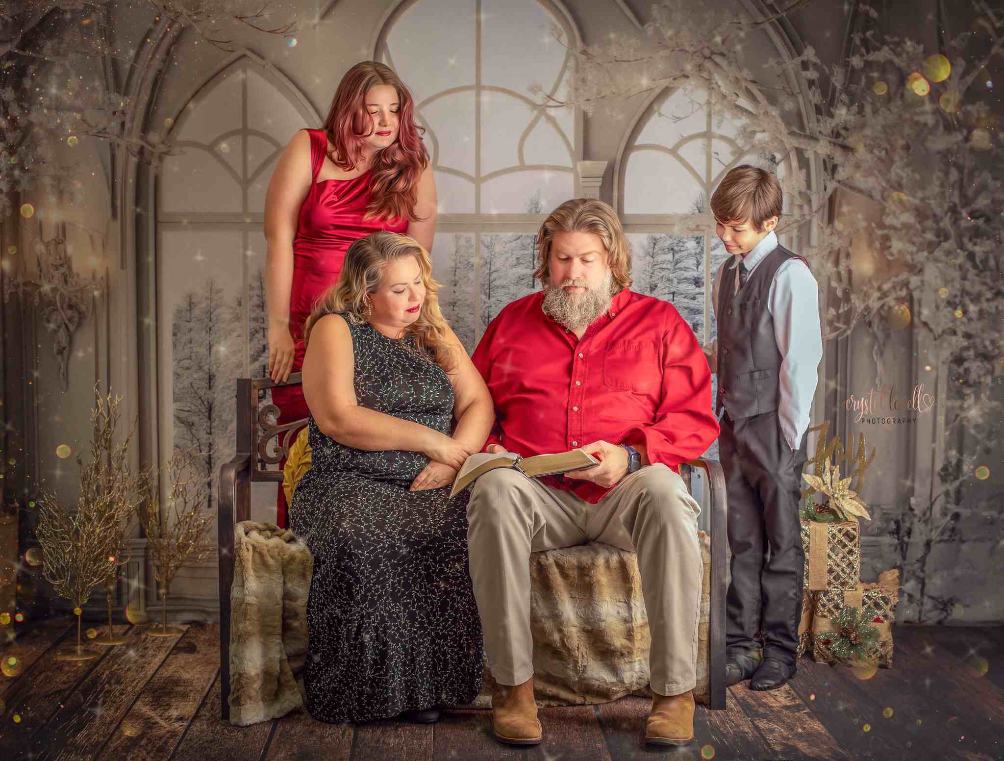 Kate Winter Backdrop White Frosted Luxury Room Window Designed by Mini MakeBelieve - Kate Backdrop AU