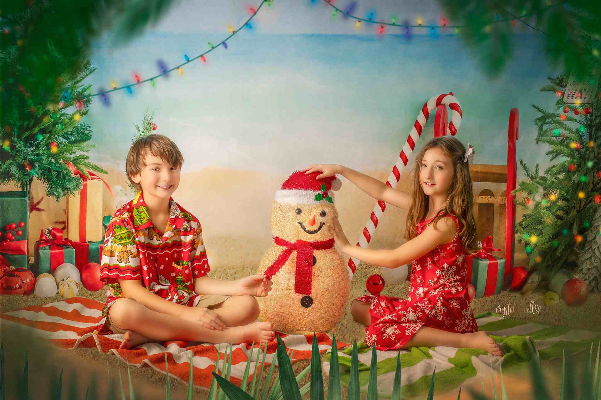 Kate Beach Christmas Backdrop Designed by Emetselch - Kate Backdrop AU