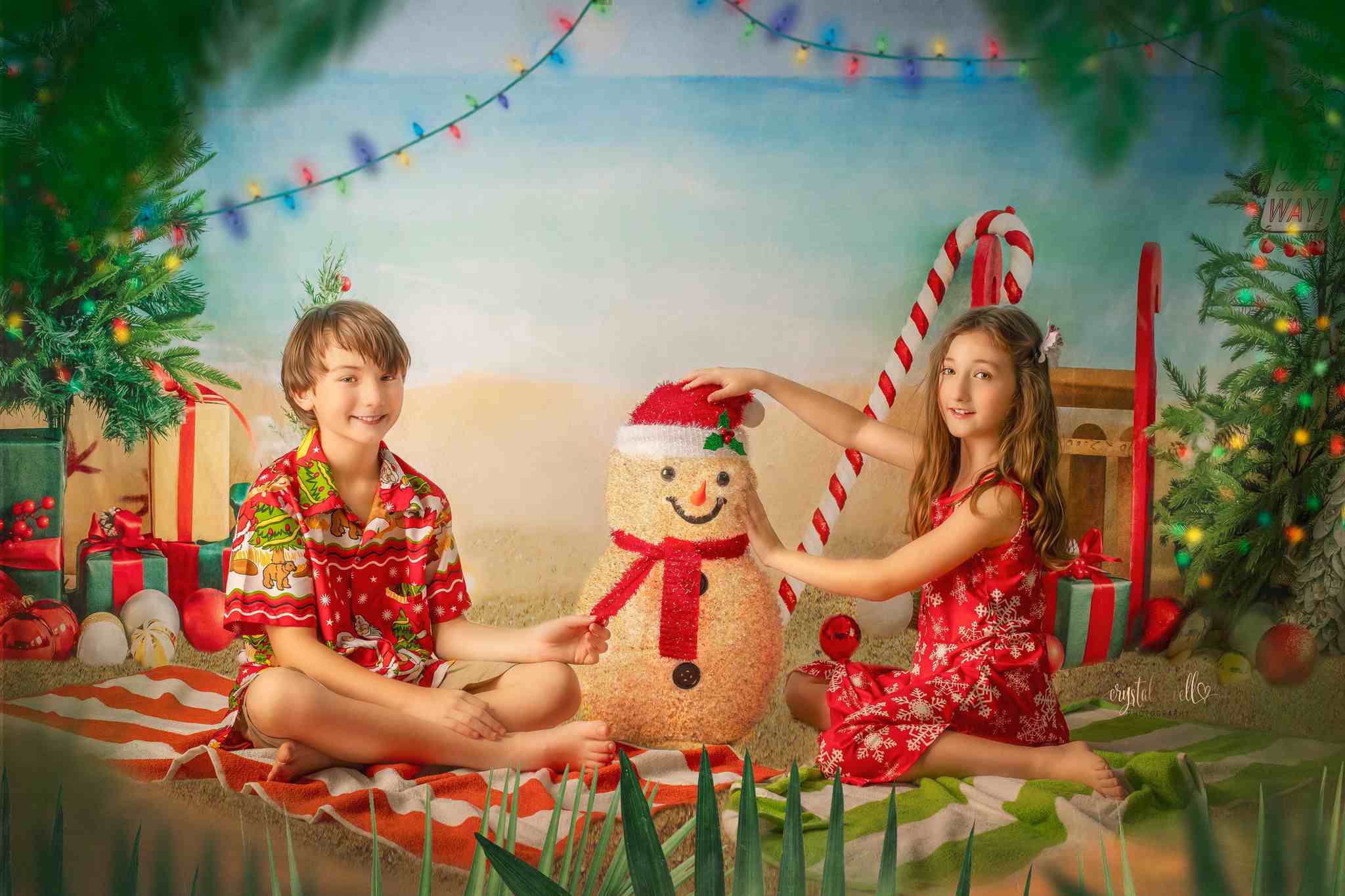 Kate Beach Christmas Backdrop Designed by Emetselch