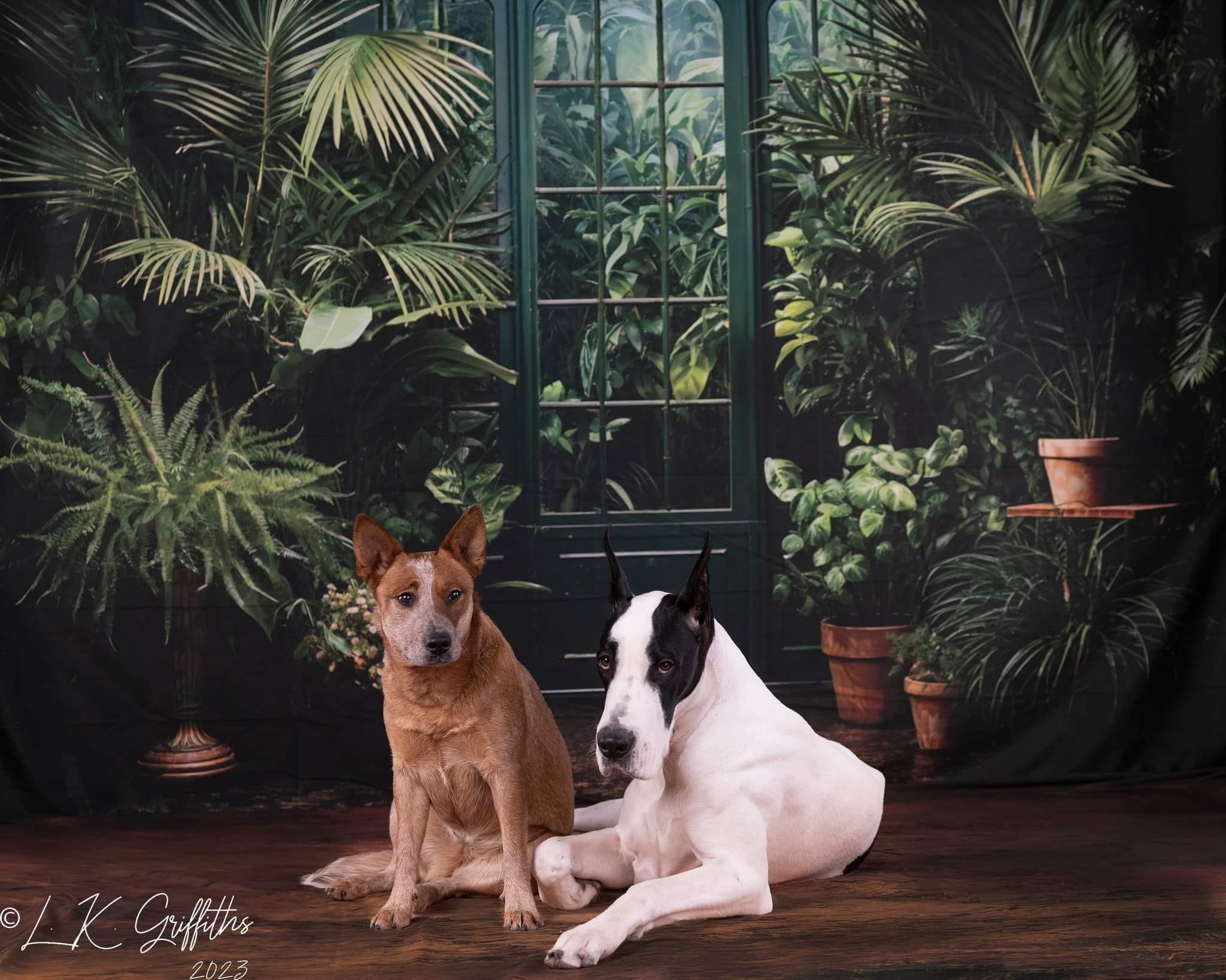 Kate Spring/Summer Green Plant Door Backdrop Designed by Emetselch - Kate Backdrop AU