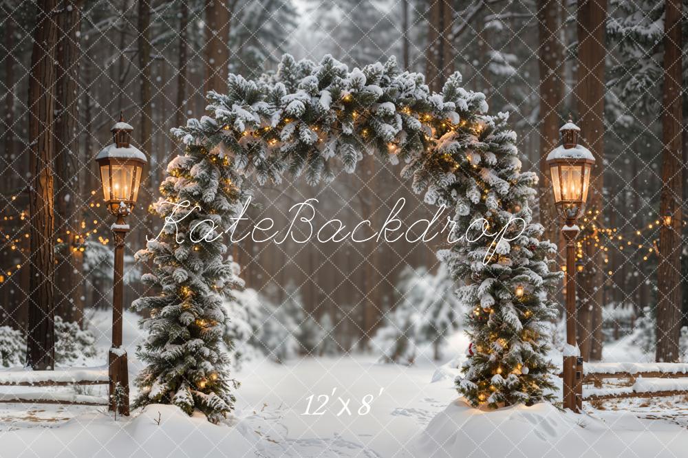 Kate Winter Arch Snowy Forest Fleece Backdrop Designed by Emetselch - Kate Backdrop AU