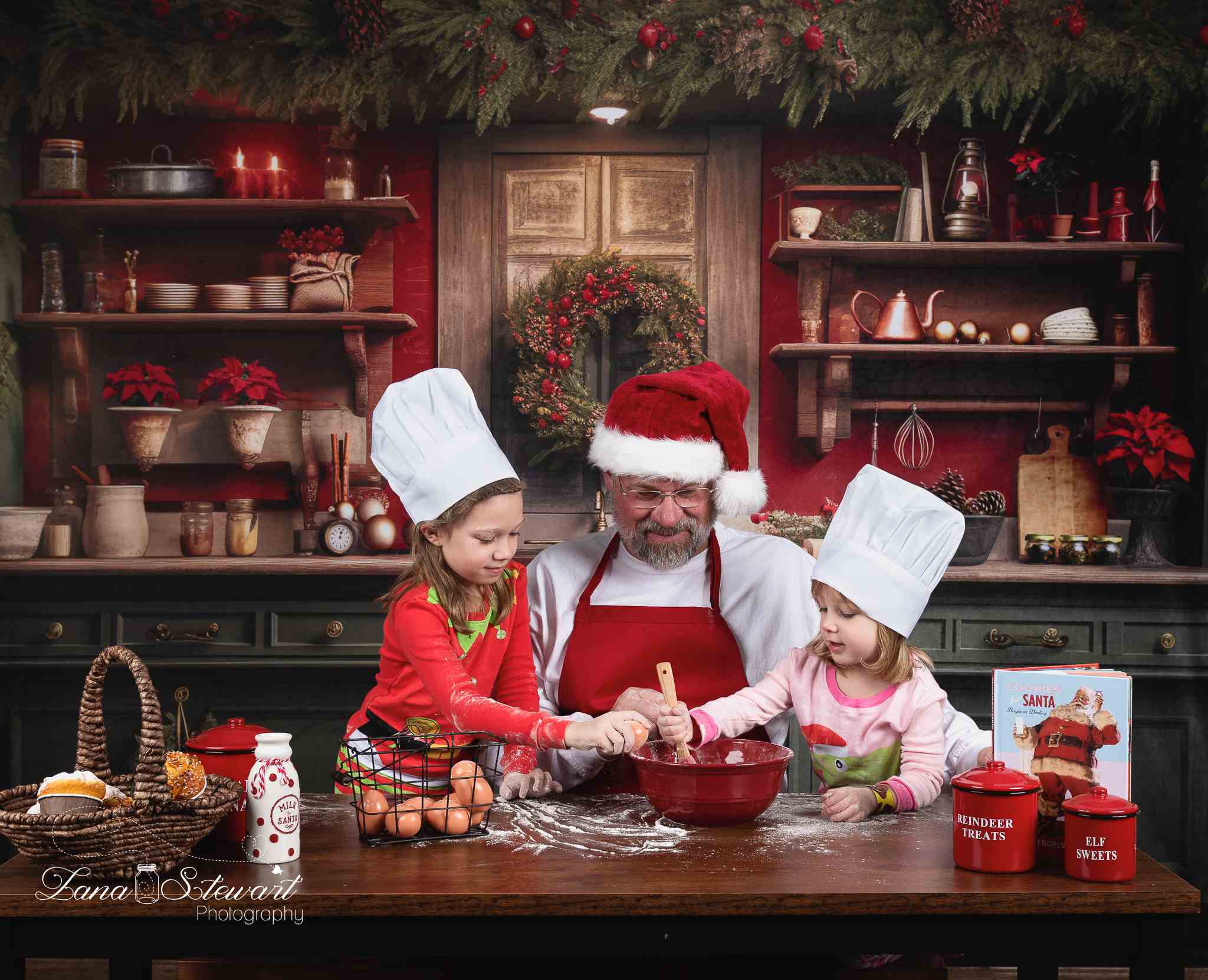 Kate Christmas Kitchen Backdrop Designed by Mandy Ringe Photography - Kate Backdrop AU
