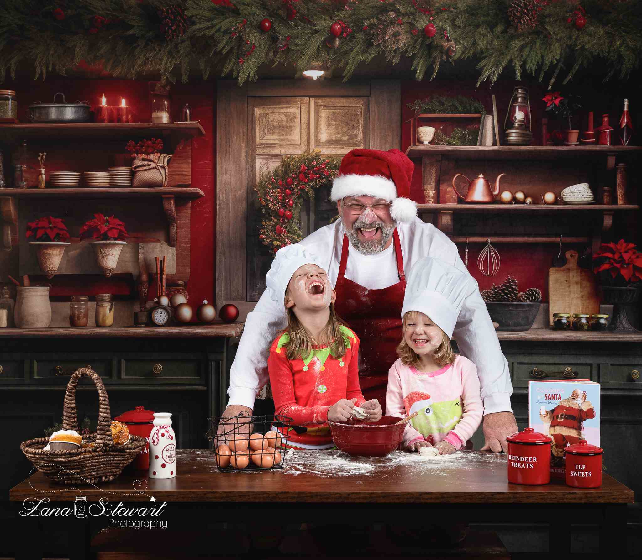 Kate Christmas Kitchen Backdrop Designed by Mandy Ringe Photography - Kate Backdrop AU