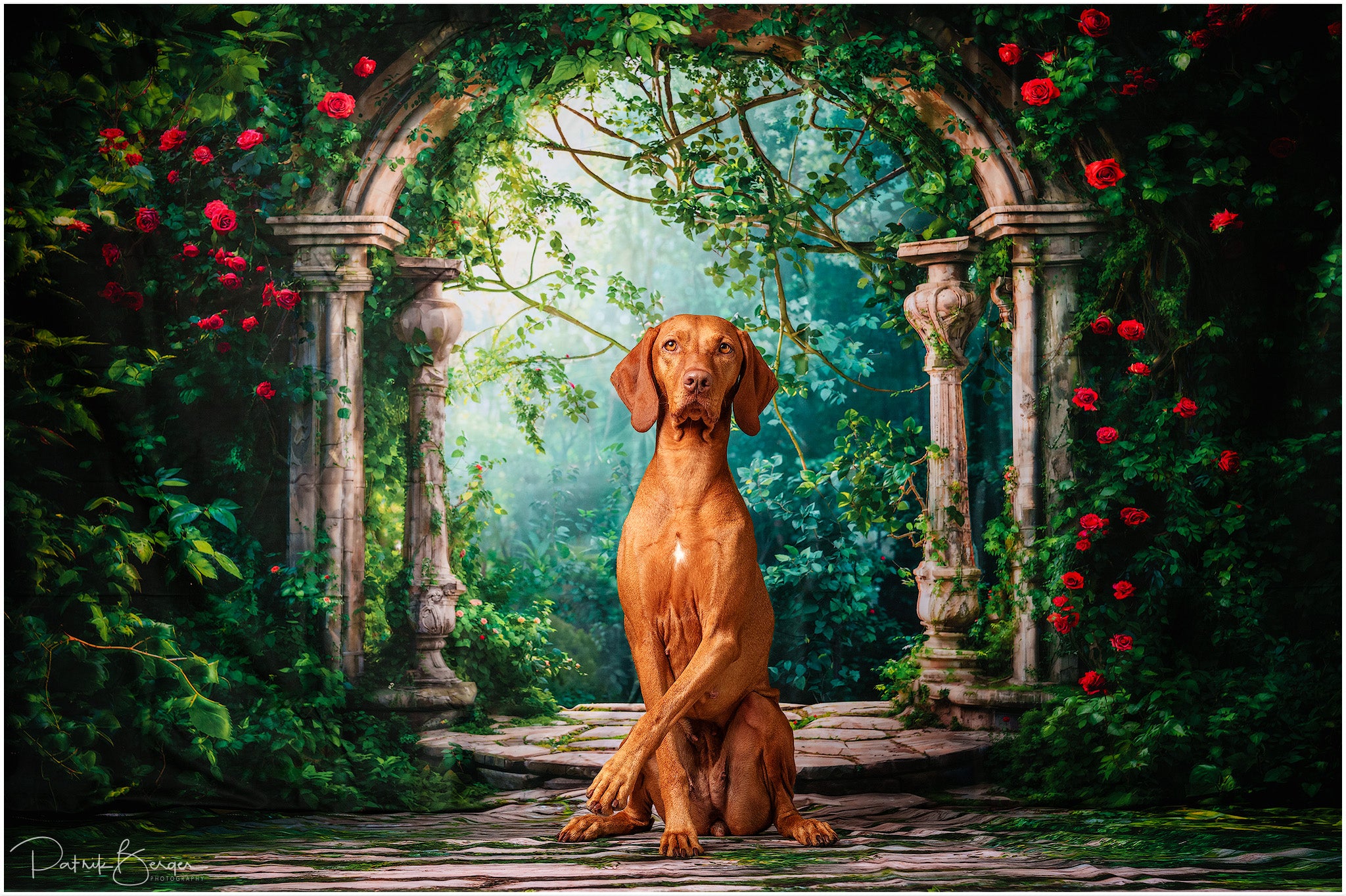 Kate Spring Forest Greenery Flowers Arch Backdrop+Grass Stone Floor Backdrop - Kate Backdrop AU