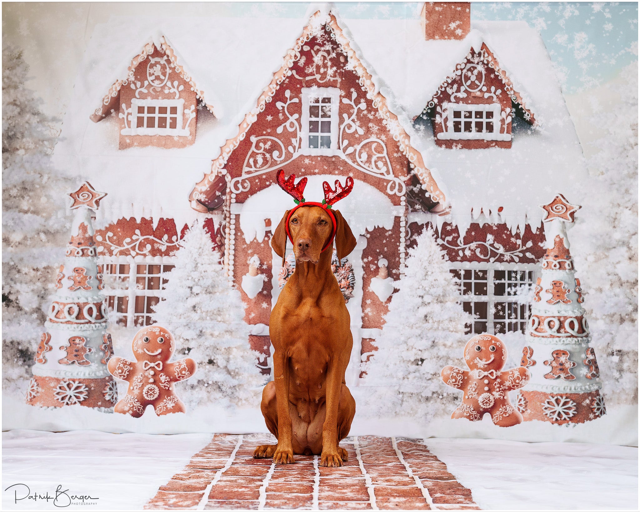 Kate Snow Gingerbread House Backdrop+Gingerbread House Floor Mat Backdrop for Photography - Kate Backdrop AU