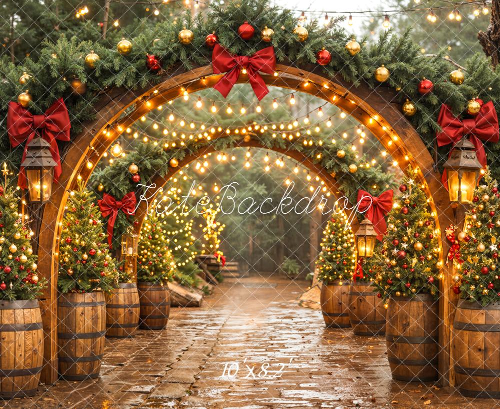 Kate Christmas Arch Lights Backdrop Designed by Emetselch - Kate Backdrop AU