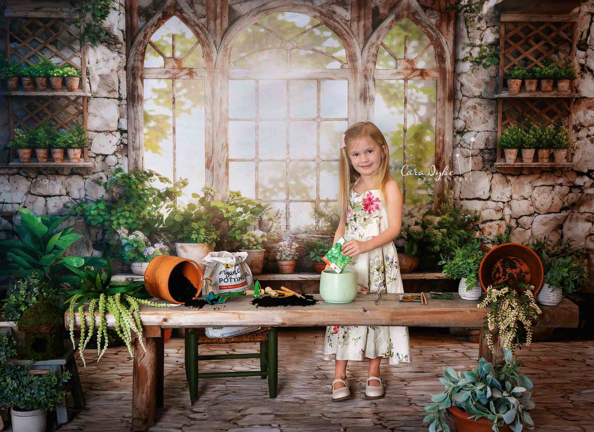 Kate Spring Green Plants Sunny Window Backdrop+Kate Rugged Patterned Path Floor Backdrop - Kate Backdrop AU