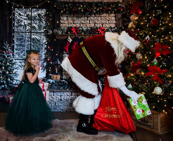 Kate Winter Christmas Brick Fireplace Window Backdrop Designed by Emetselch - Kate Backdrop AU