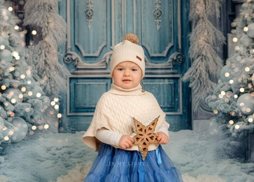 Kate Christmas Winter Backdrop Frosted World Tree Blue Door for Photography - Kate Backdrop AU