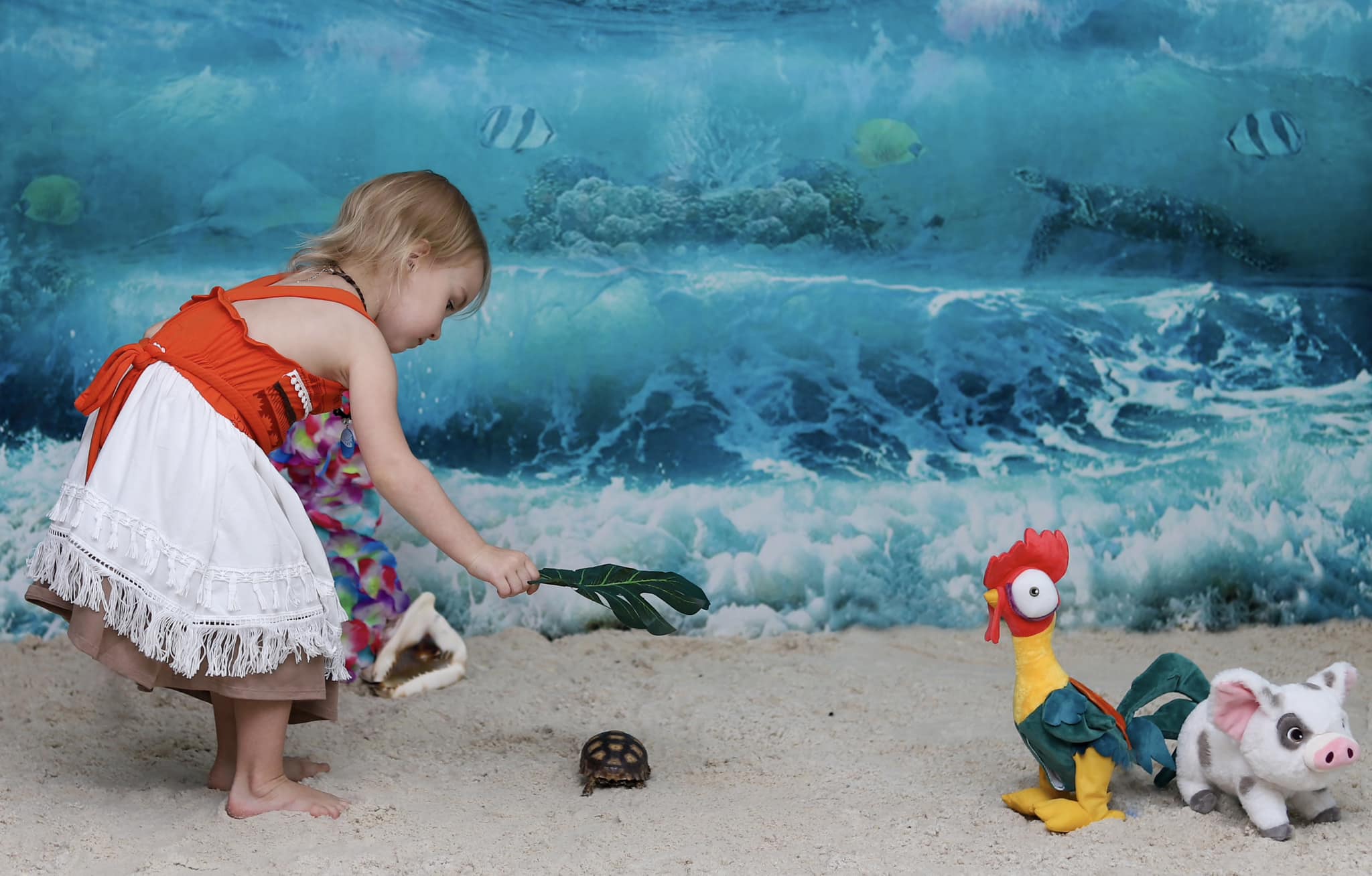 Kate Summer Beach Waves Backdrop Designed by Rosabell Photography - Kate Backdrop AU