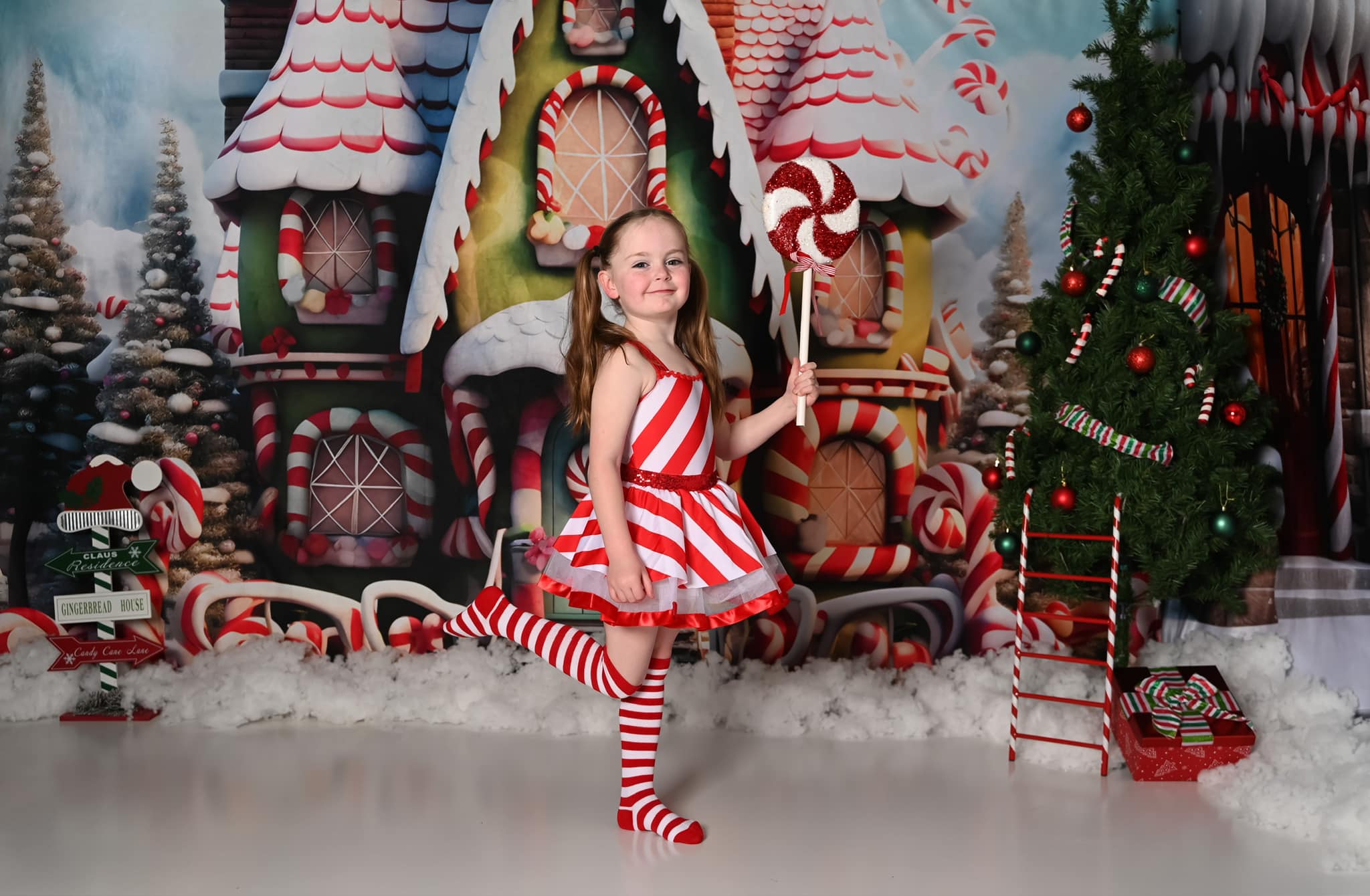 Kate Christmas Amazing House Backdrop for Photography - Kate Backdrop AU