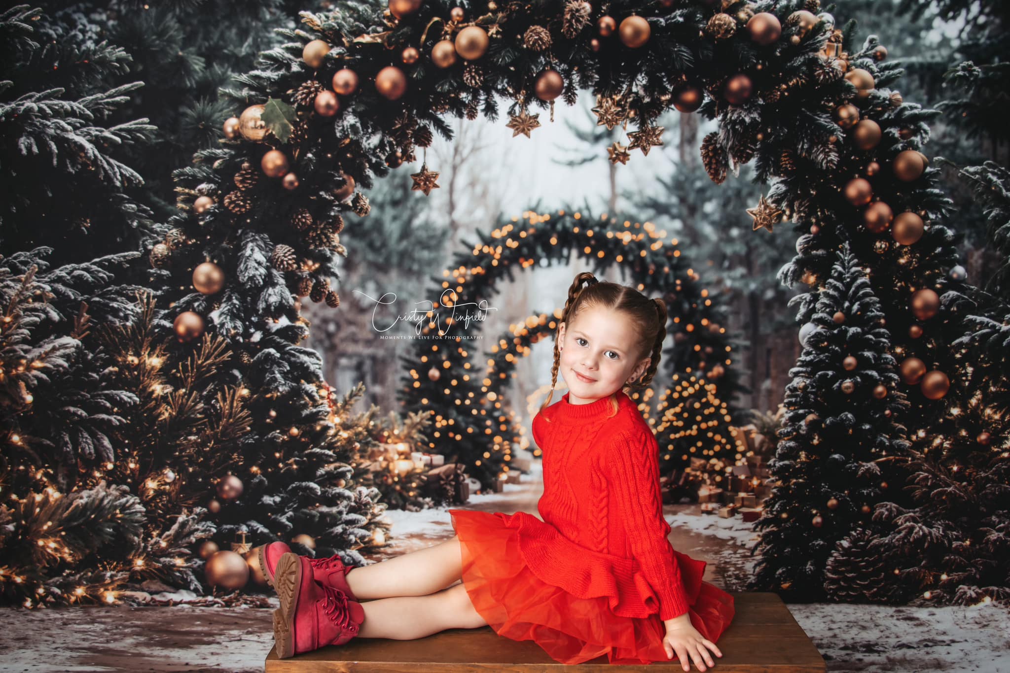Kate Christmas Tree Archway Forest Backdrop Designed by Emetselch - Kate Backdrop AU