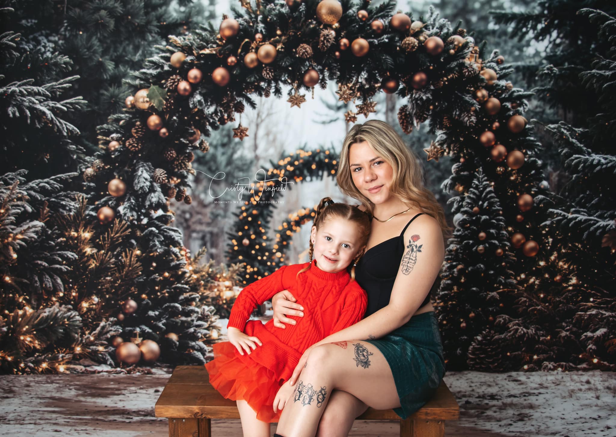 Kate Christmas Tree Archway Forest Backdrop Designed by Emetselch - Kate Backdrop AU