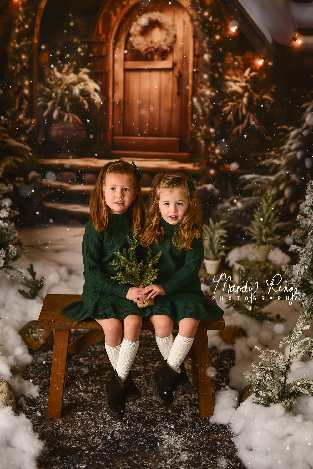 Kate Christmas Wooden House Backdrop Designed by Chain Photography - Kate Backdrop AU