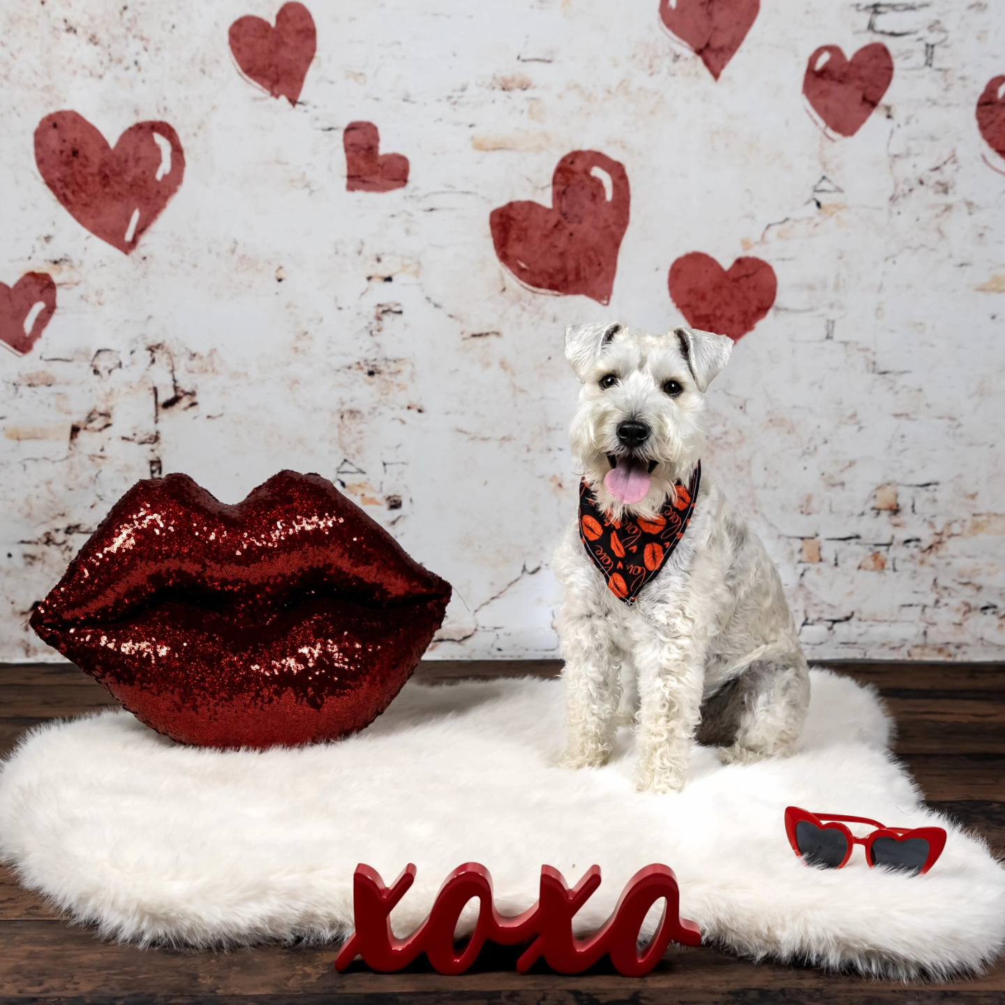 Kate Valentine Hearts Vintage Backdrop Shabby Wall Designed by Kate Image - Kate Backdrop AU
