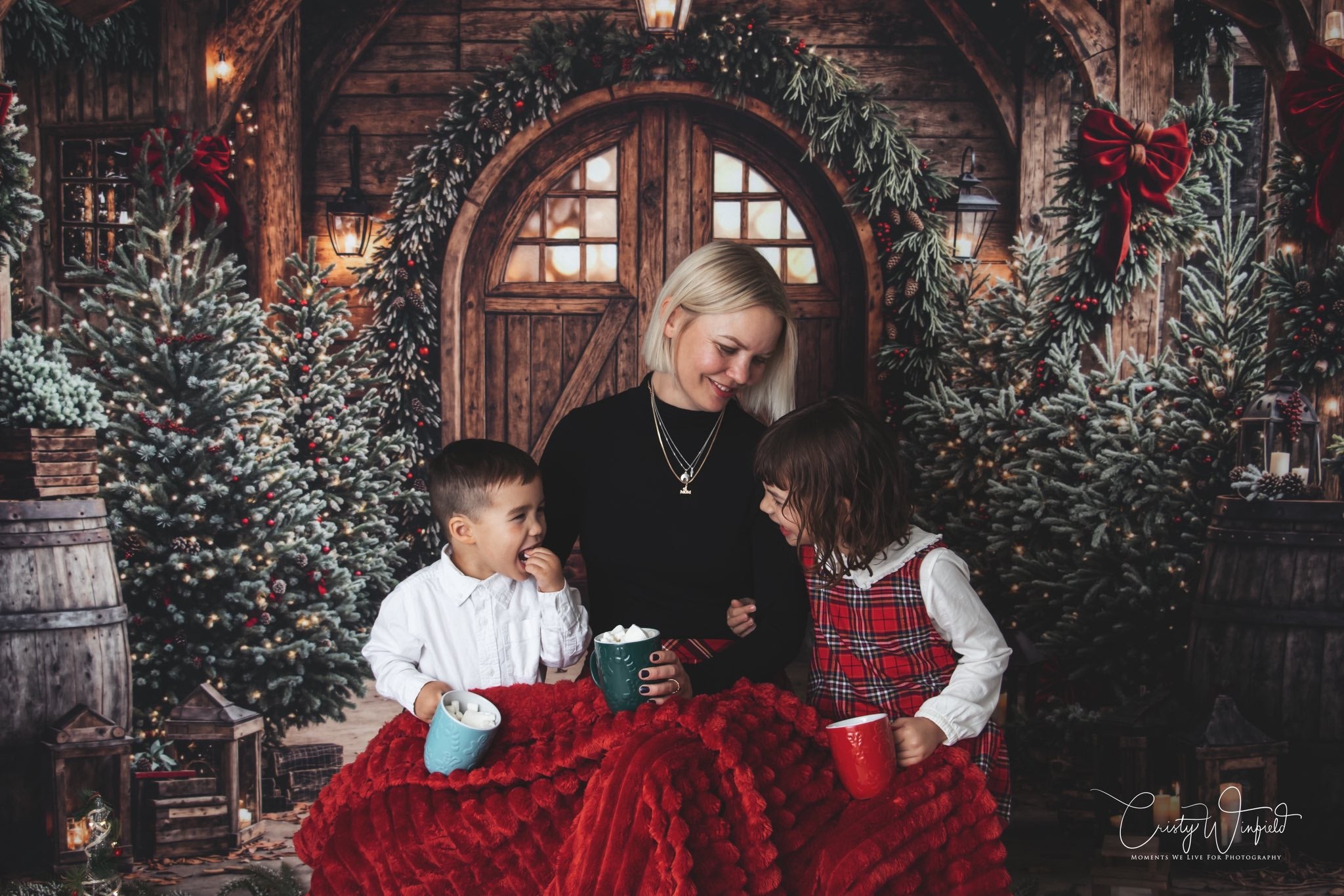 Kate Christmas Wooden Barrels Backdrop Designed by Emetselch - Kate Backdrop AU