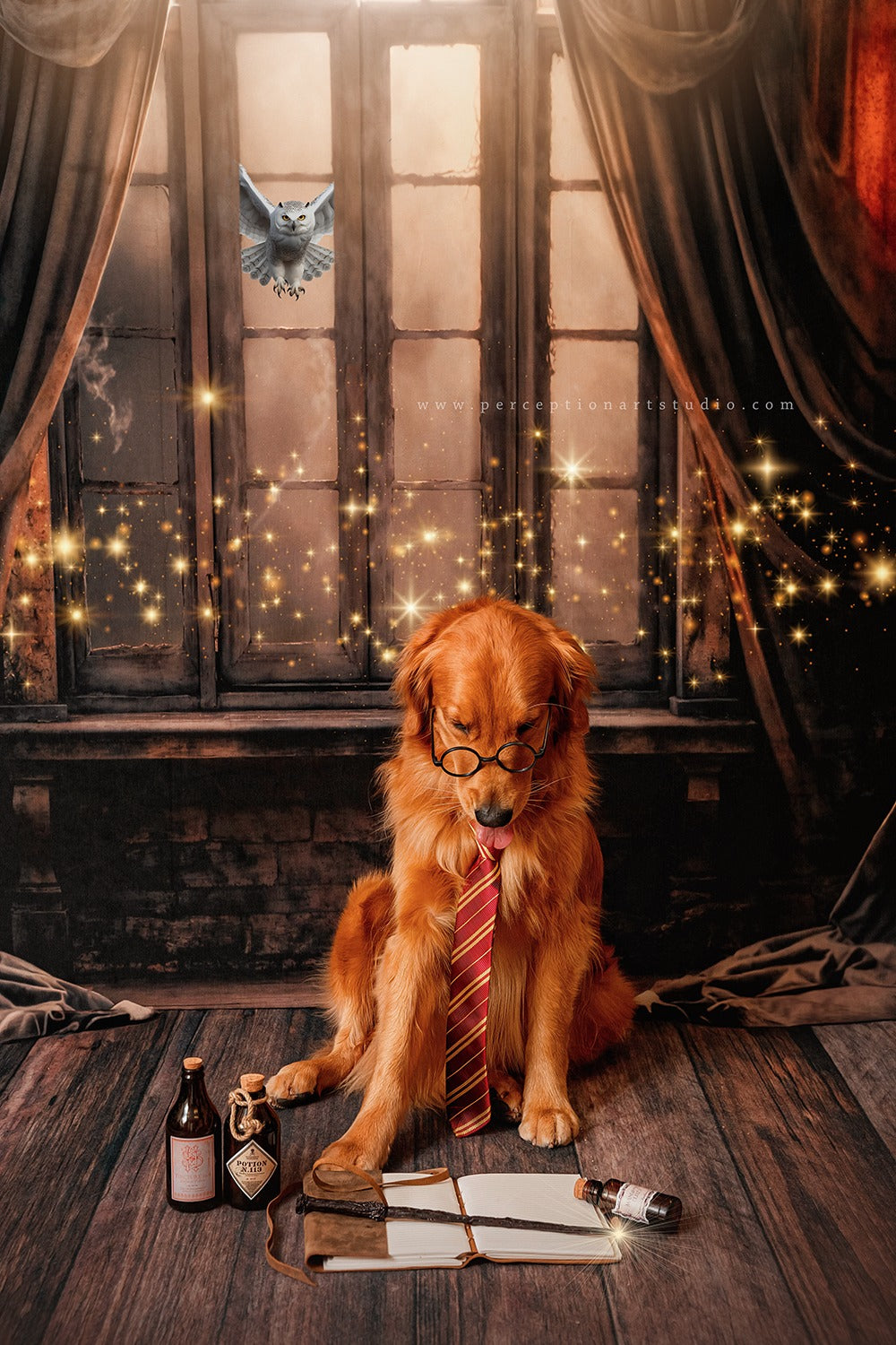 Kate Halloween Dark Stage Curtain Backdrop Designed by Emetselch - Kate Backdrop AU