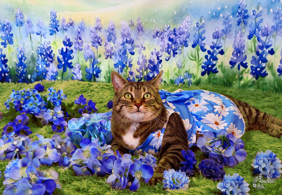 Kate Blossoming Bluebonnets Backdrop Designed by Patty Robertss - Kate Backdrop AU