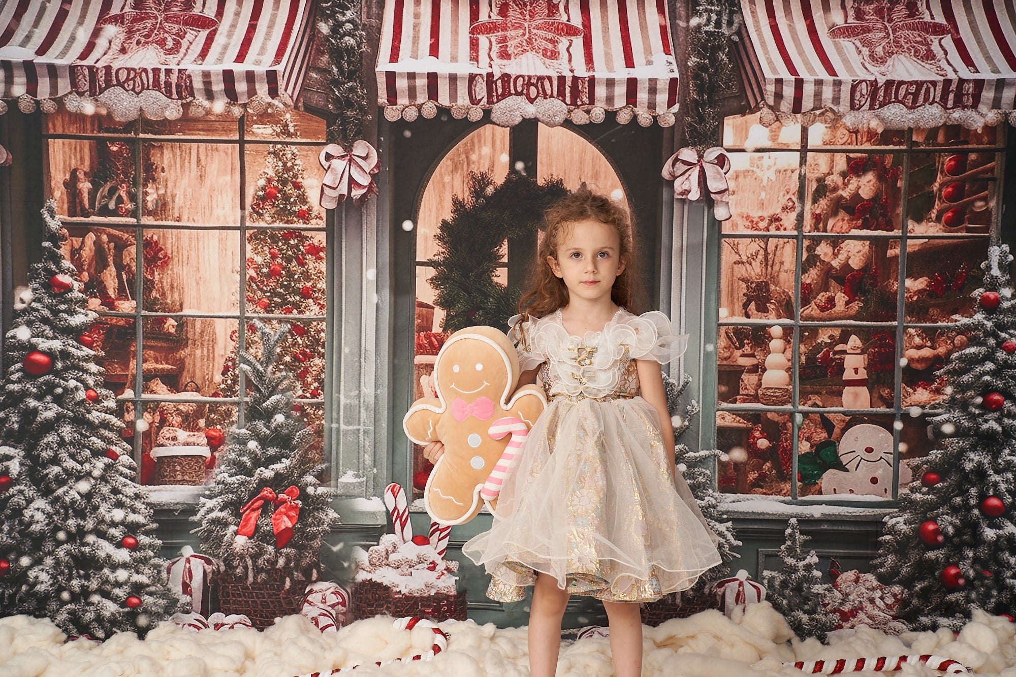 Kate Christmas Snow Cabin Backdrop for Photography - Kate Backdrop AU
