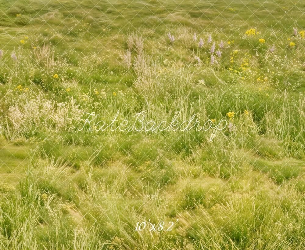Kate Green Meadow Wildflowers Grass Backdrop Designed by Chain