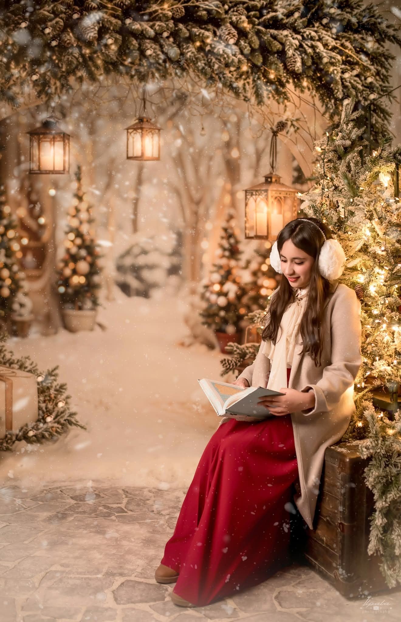 Kate Snow Christmas Arch Backdrop Designed by Emetselch - Kate Backdrop AU