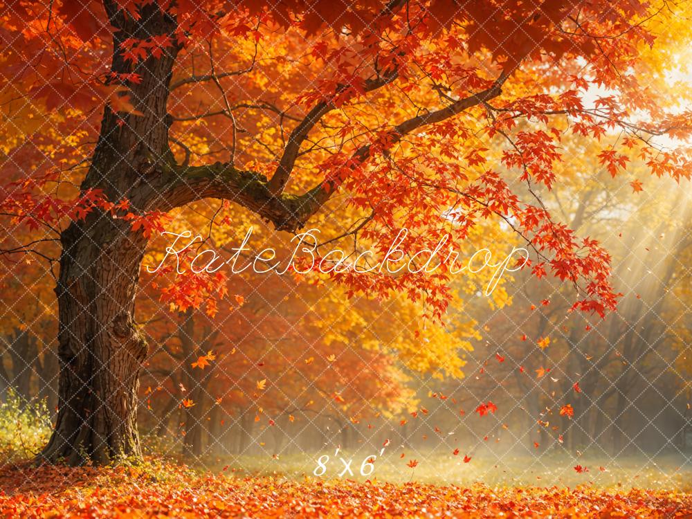 Kate Autumn Tree Leaves Sunlight Backdrop Designed by Emetselch