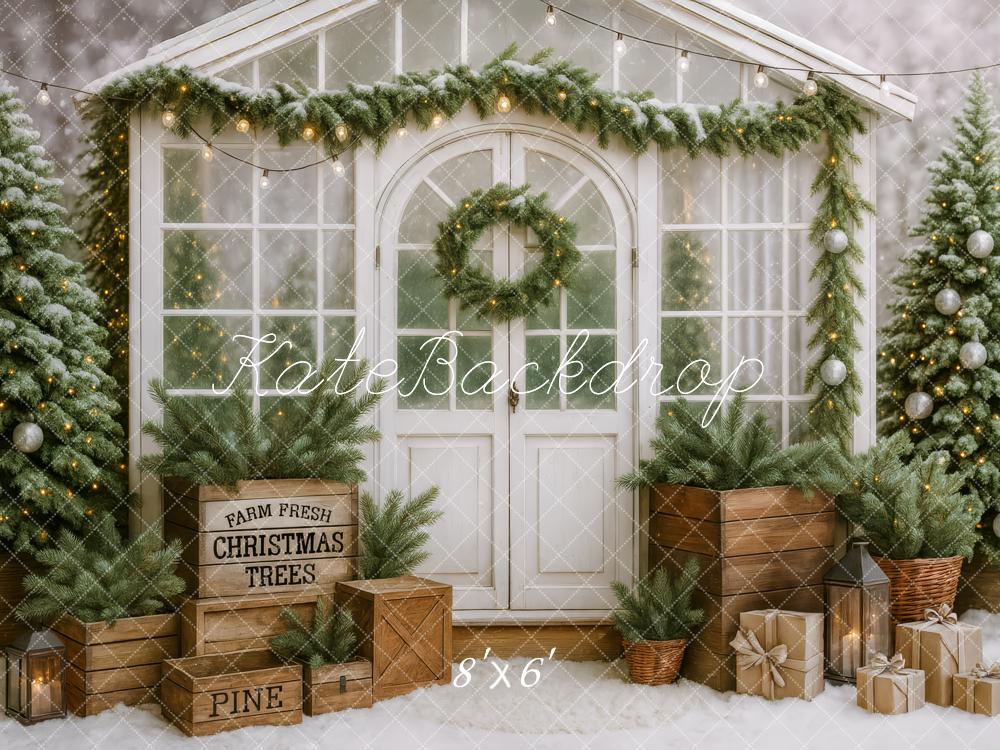 Kate Christmas Greenhouse Backdrop Designed by Patty Roberts