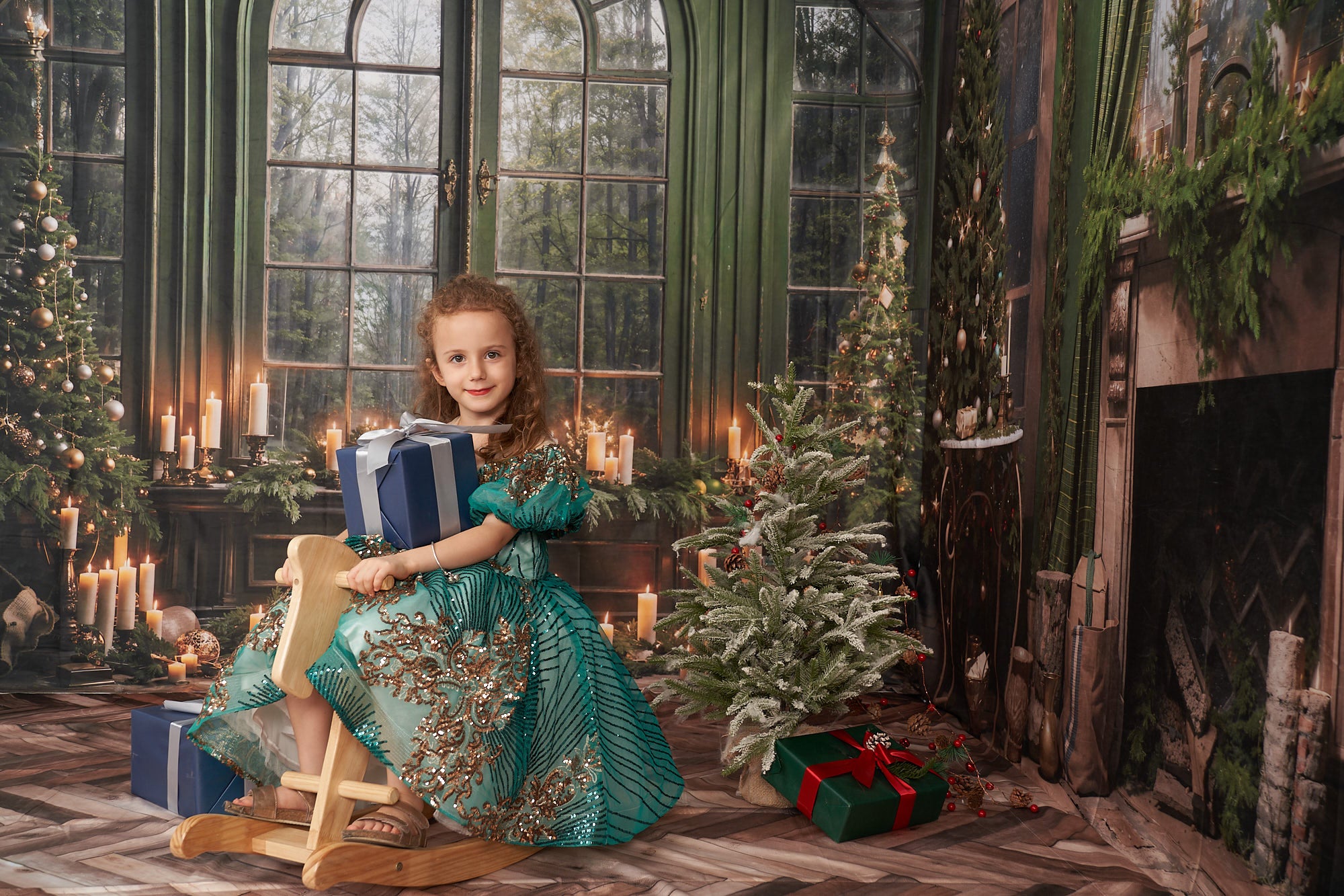 Kate Christmas Fireplace Window Green Room Set(8ftx8ft&10ftx8ft&8ftx10ft) - Kate Backdrop AU