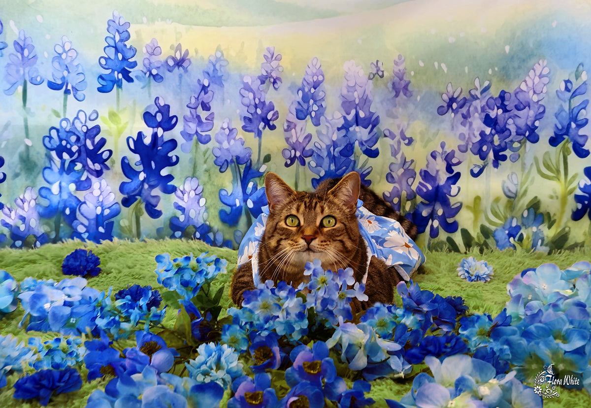 Kate Blossoming Bluebonnets Backdrop Designed by Patty Robertss - Kate Backdrop AU
