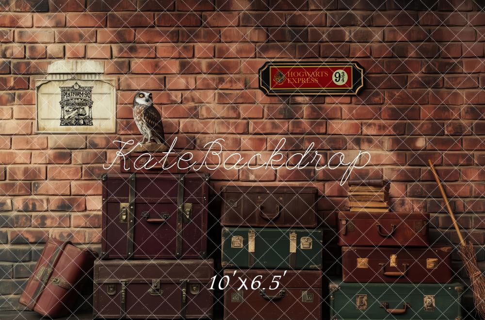Kate Platform Luggage Owl Brick Wall Backdrop Designed by Patty Roberts - Kate Backdrop AU