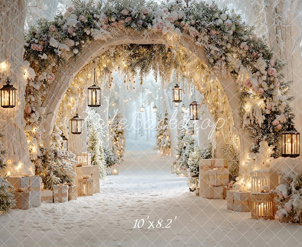 Kate Winter Arch Gifts Fleece Backdrop Designed by Emetselch