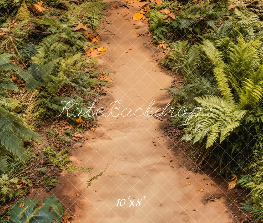 Kate Forest Dirt Path Ferns Fleece Backdrop Designed by Emetselch - Kate Backdrop AU