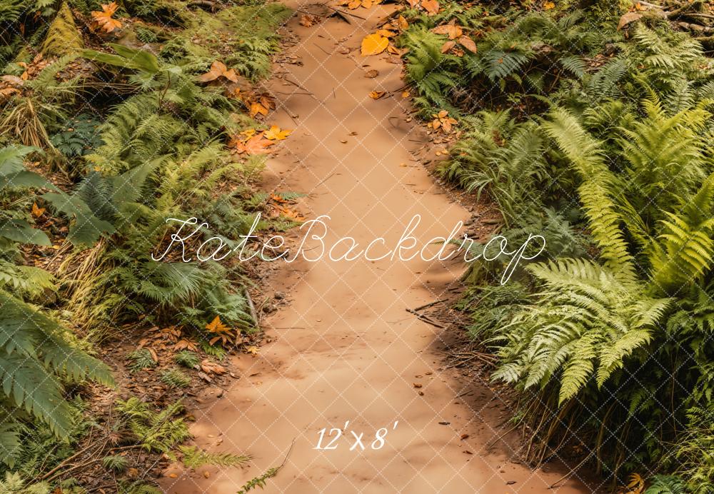 Kate Forest Dirt Path Ferns Fleece Backdrop Designed by Emetselch - Kate Backdrop AU