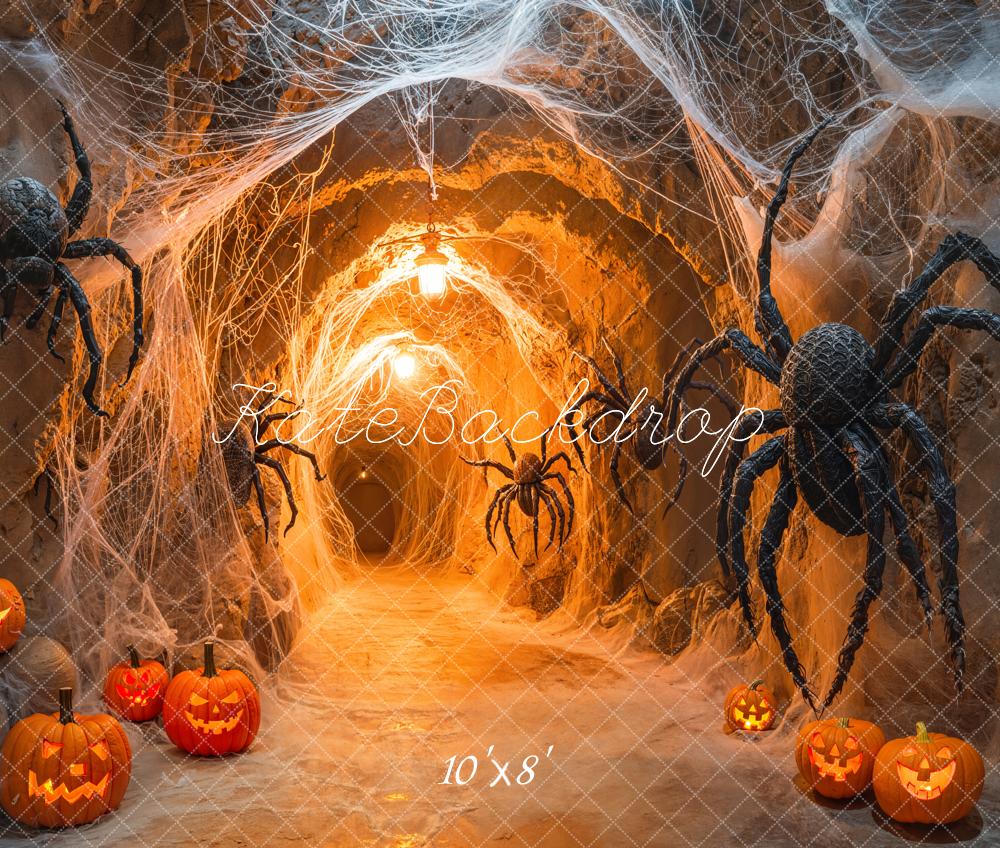 Kate Halloween Spiders Web Tunnel Fleece Backdrop Designed by Emetselch - Kate Backdrop AU