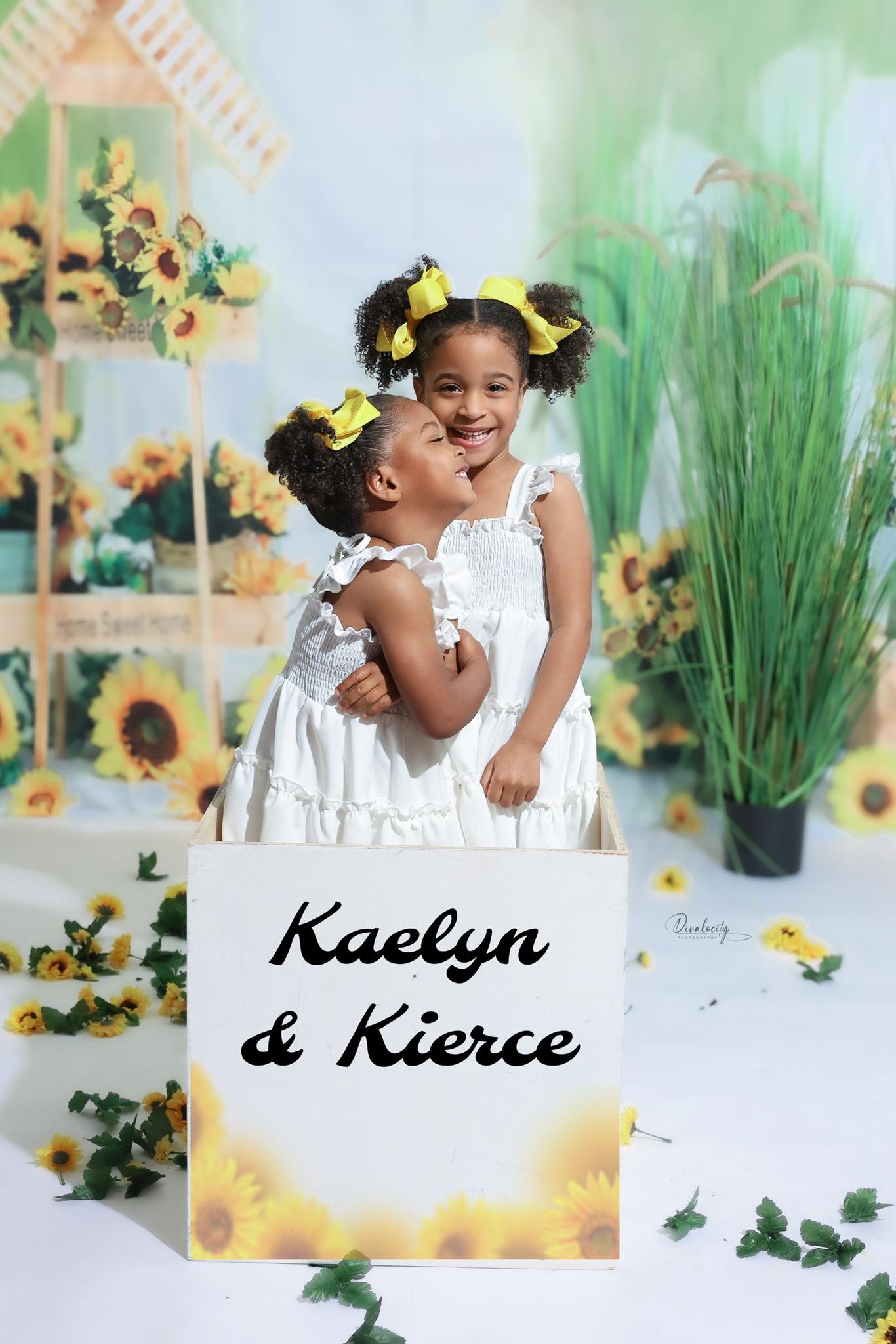 Kate Spring/Summer Lemon Backdrop Outdoor Trolley Designed by Emetselch - Kate Backdrop AU