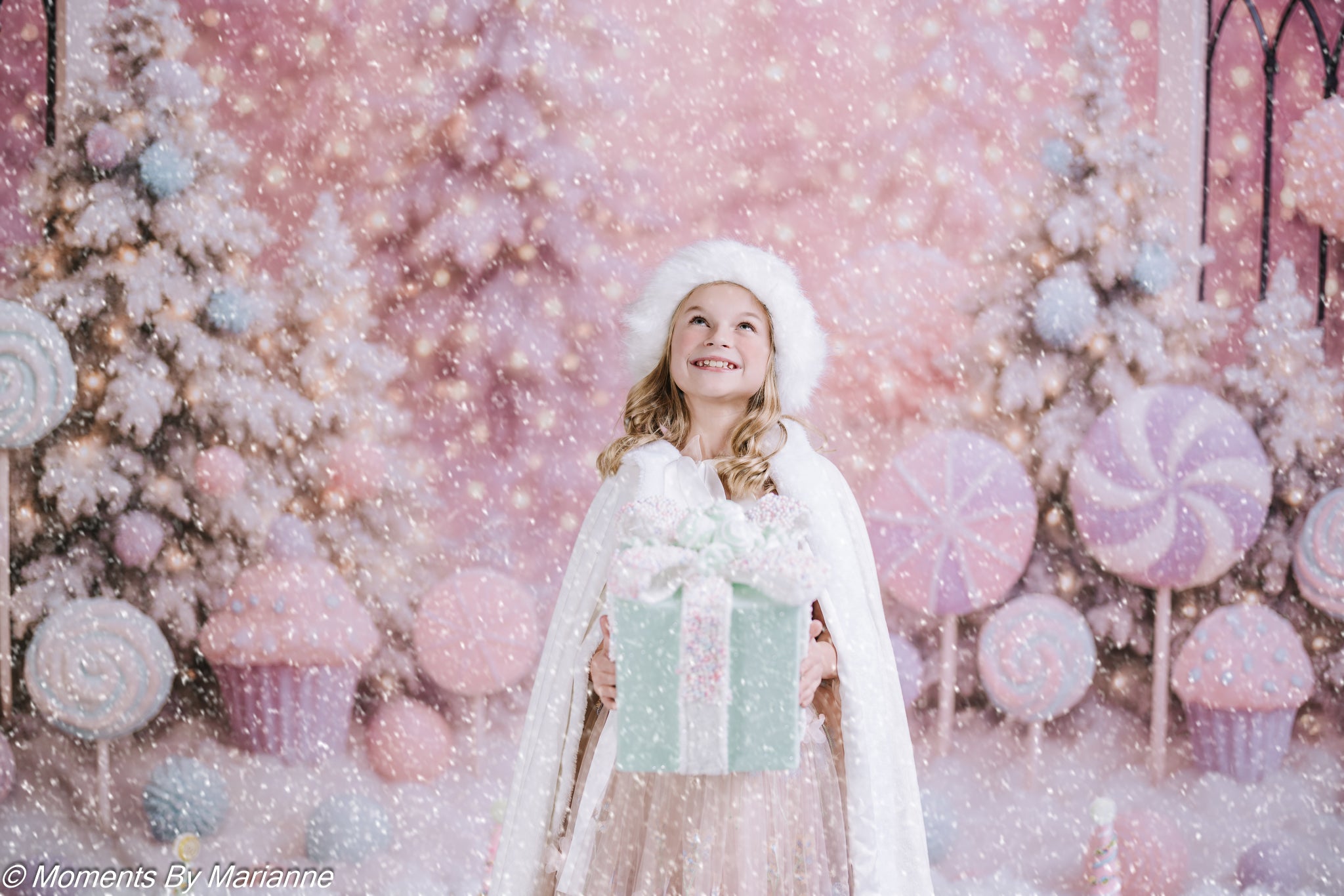 Kate Christmas Candyland Frosted Trees Backdrop Designed by Ashley Paul - Kate Backdrop AU