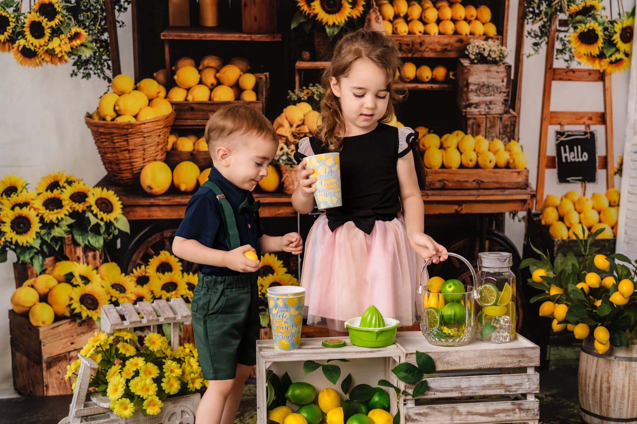 Kate Yellow lemon Stall Backdrop Designed by Emetselch