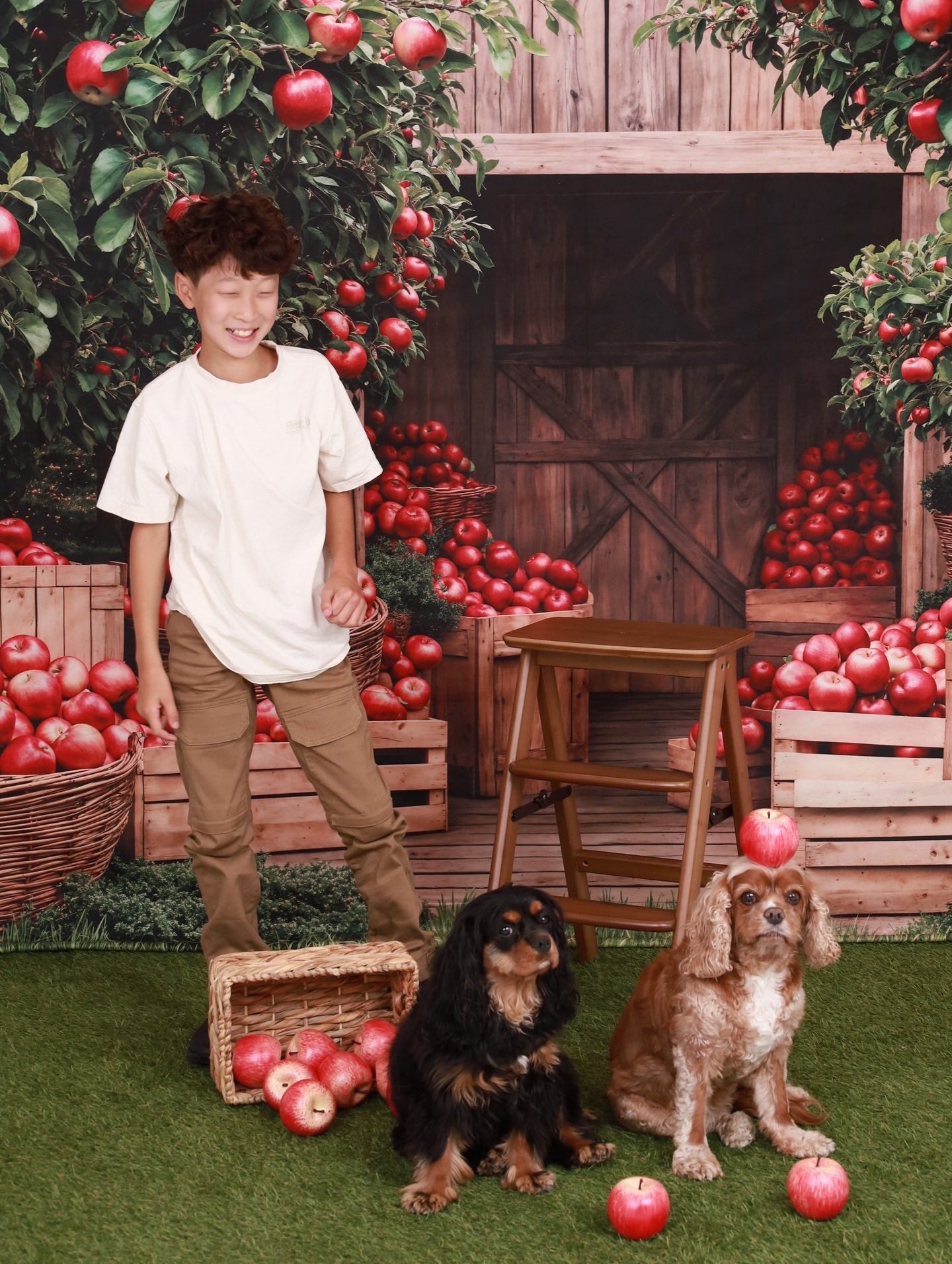 Kate Fall Apple Orchard Barn Backdrop Designed by Emetselch