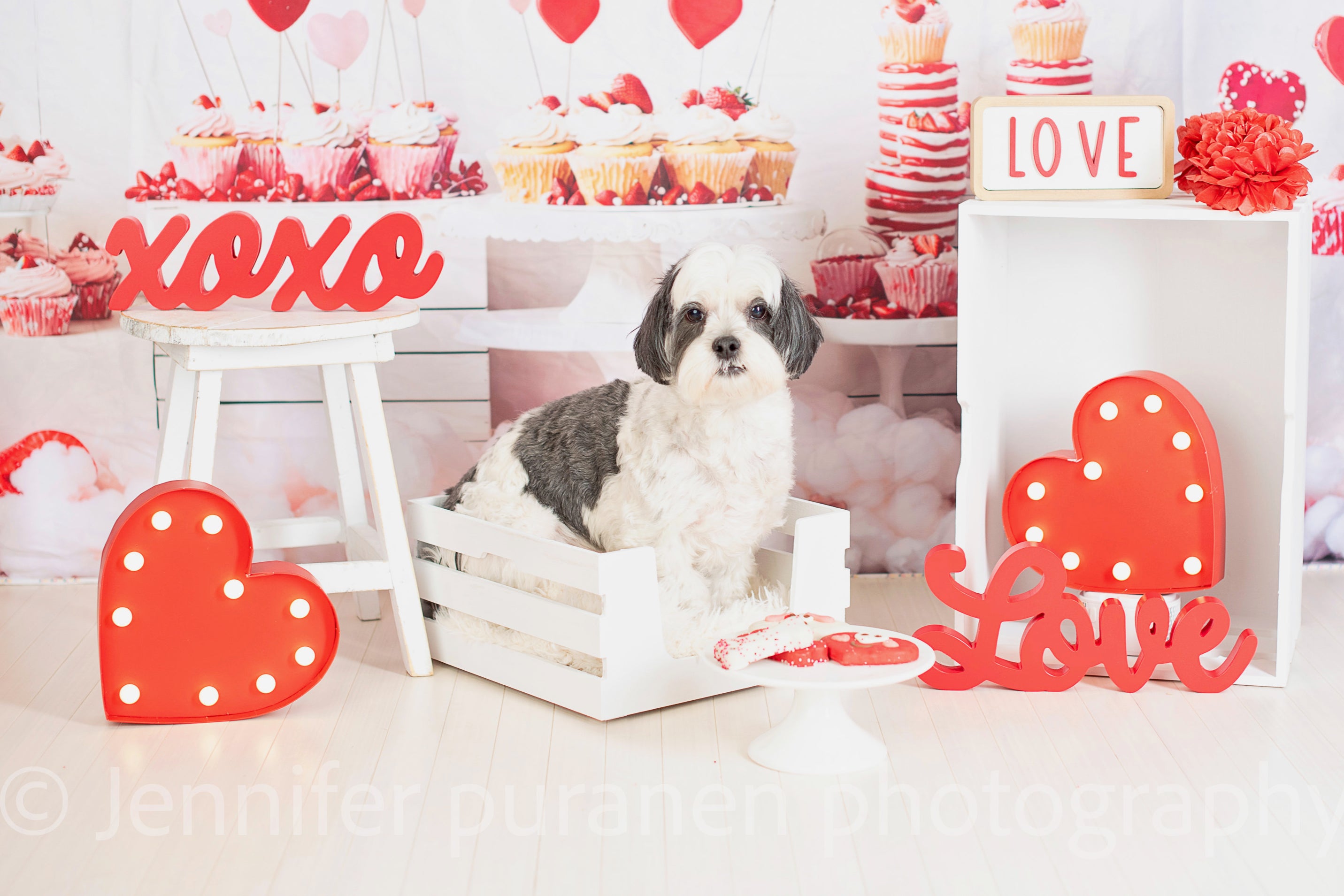 Kate Valentine Heart Cupcake Backdrop Designed by Emetselch - Kate Backdrop AU