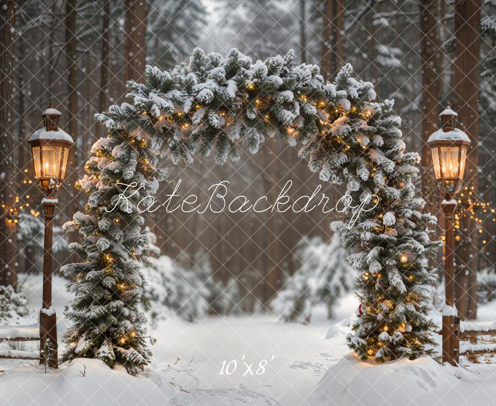 Kate Winter Arch Snowy Forest Fleece Backdrop Designed by Emetselch - Kate Backdrop AU
