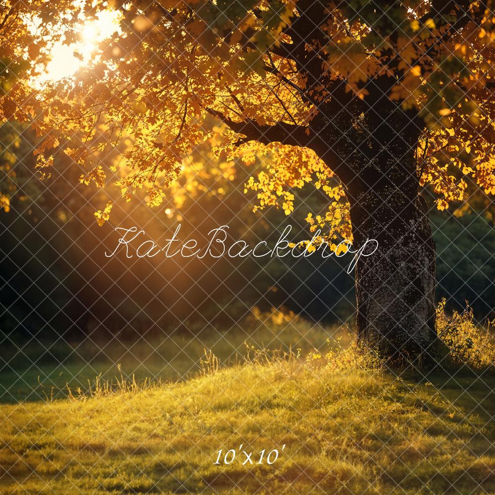 Kate Autumn Tree Sunlit Meadow Backdrop Designed by Chain