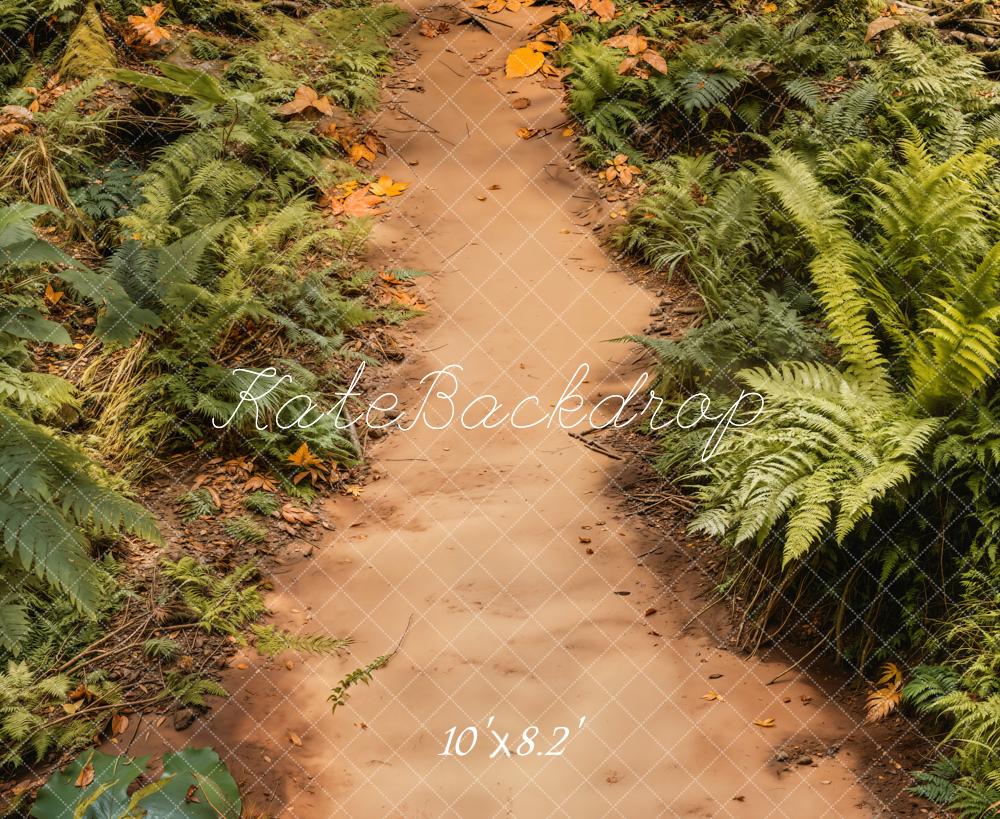 Kate Forest Ferns Dirt Path Backdrop Designed by Emetselch - Kate Backdrop AU