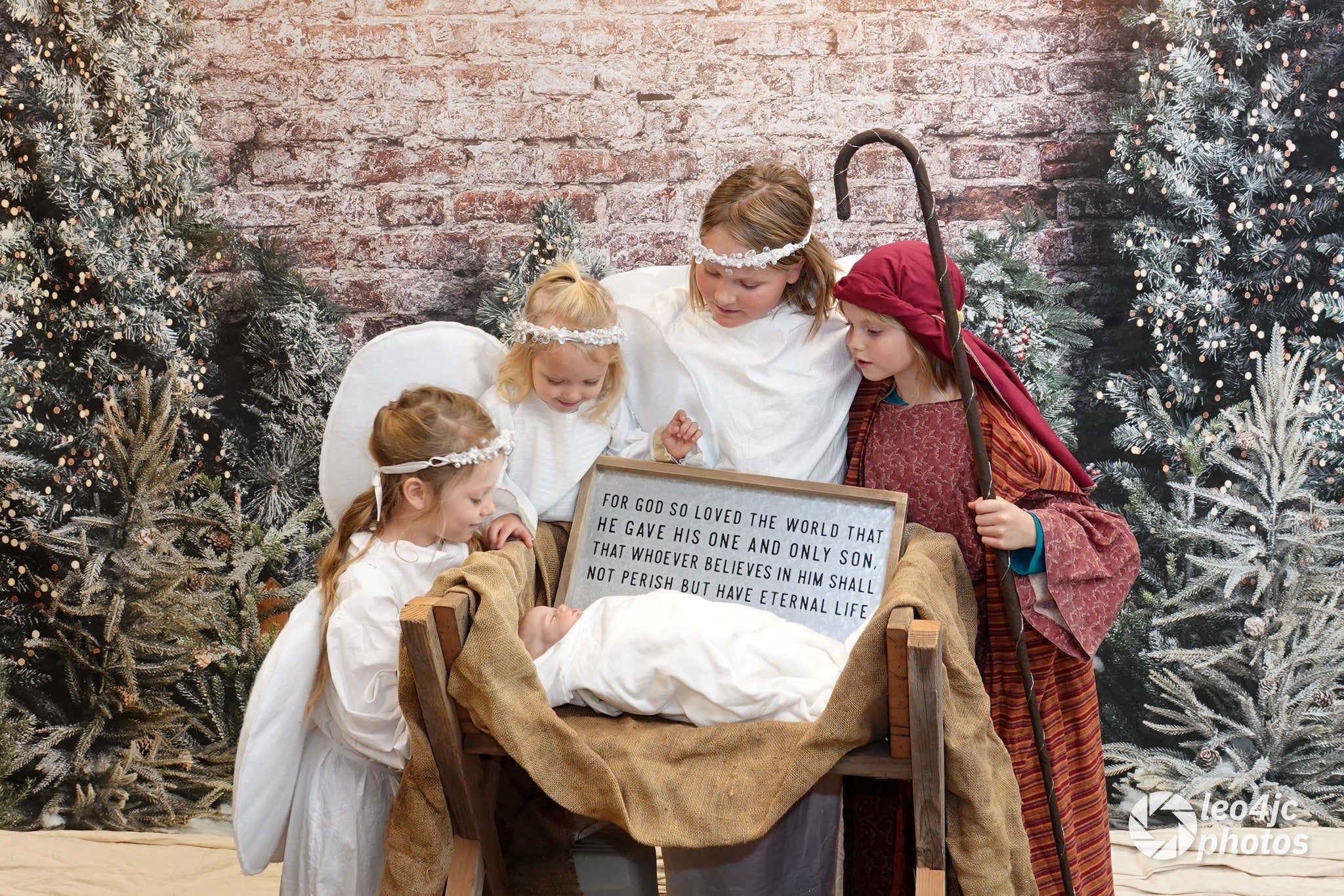 Kate Christmas Outdoor Fence Trees Lights Backdrop Designed by Abbas Studio - Kate Backdrop AU