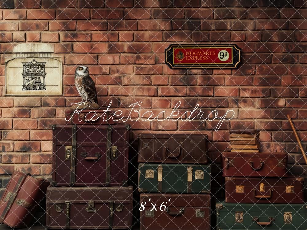Kate Platform Luggage Owl Brick Wall Backdrop Designed by Patty Roberts - Kate Backdrop AU