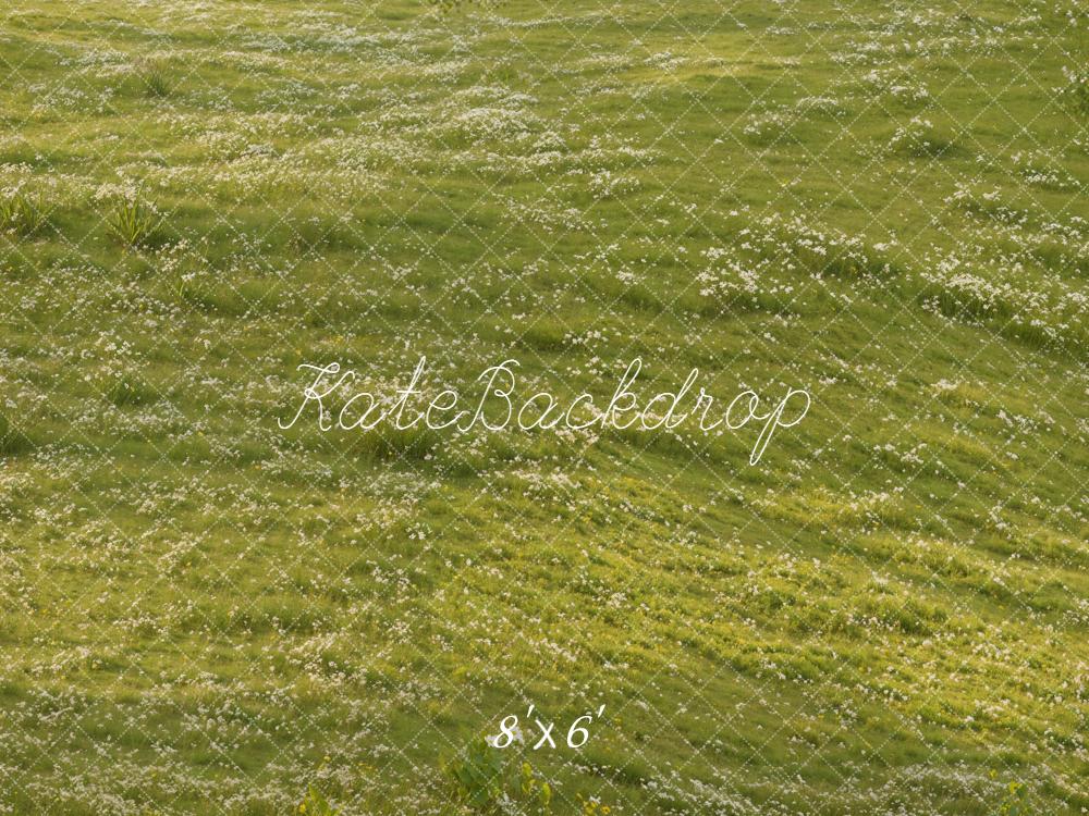 Kate Green Field Flowers Fleece Backdrop Designed by Chain