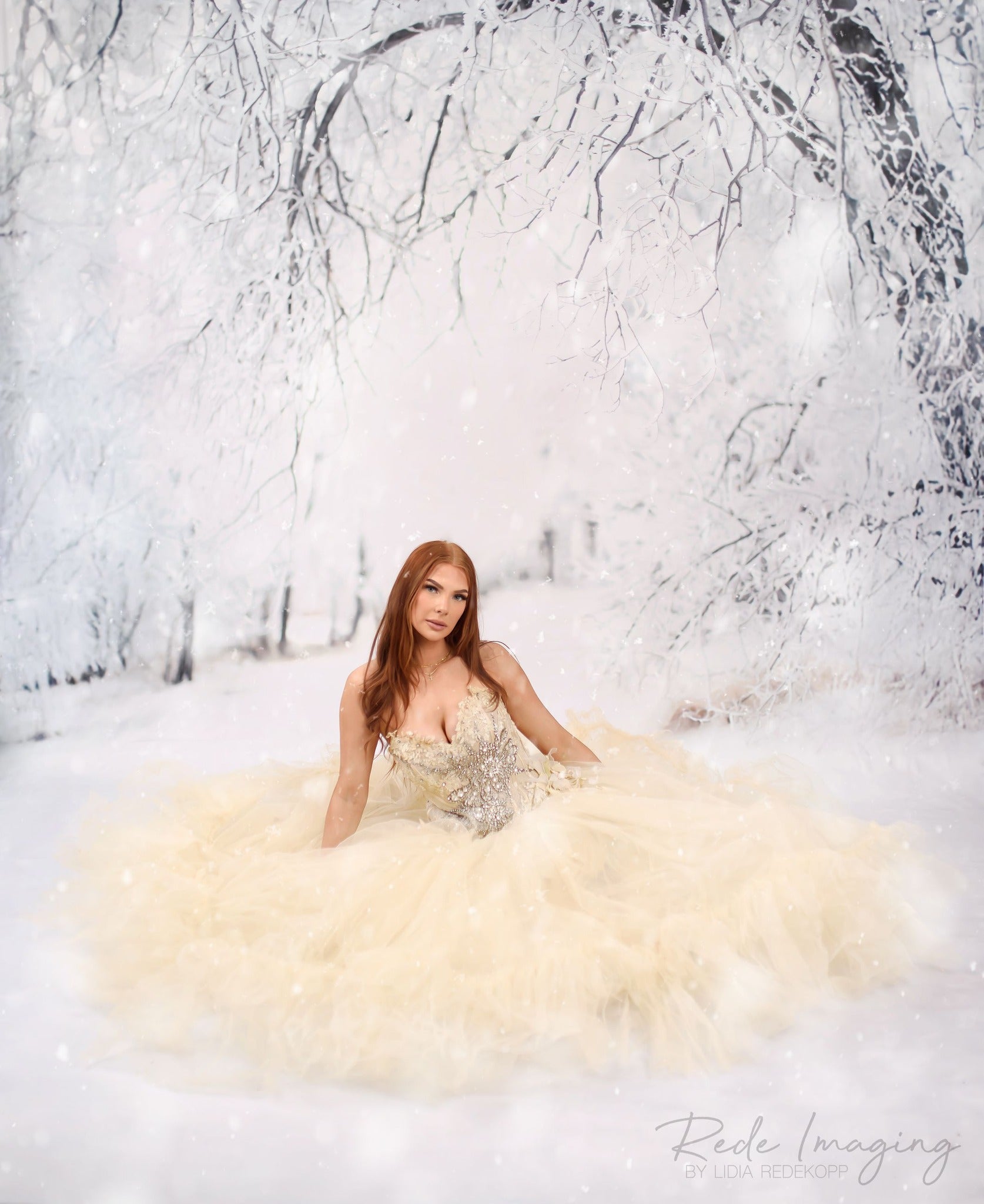 Kate Sweep Frosty Lane Backdrop Designed by Lidia Redekopp - Kate Backdrop AU