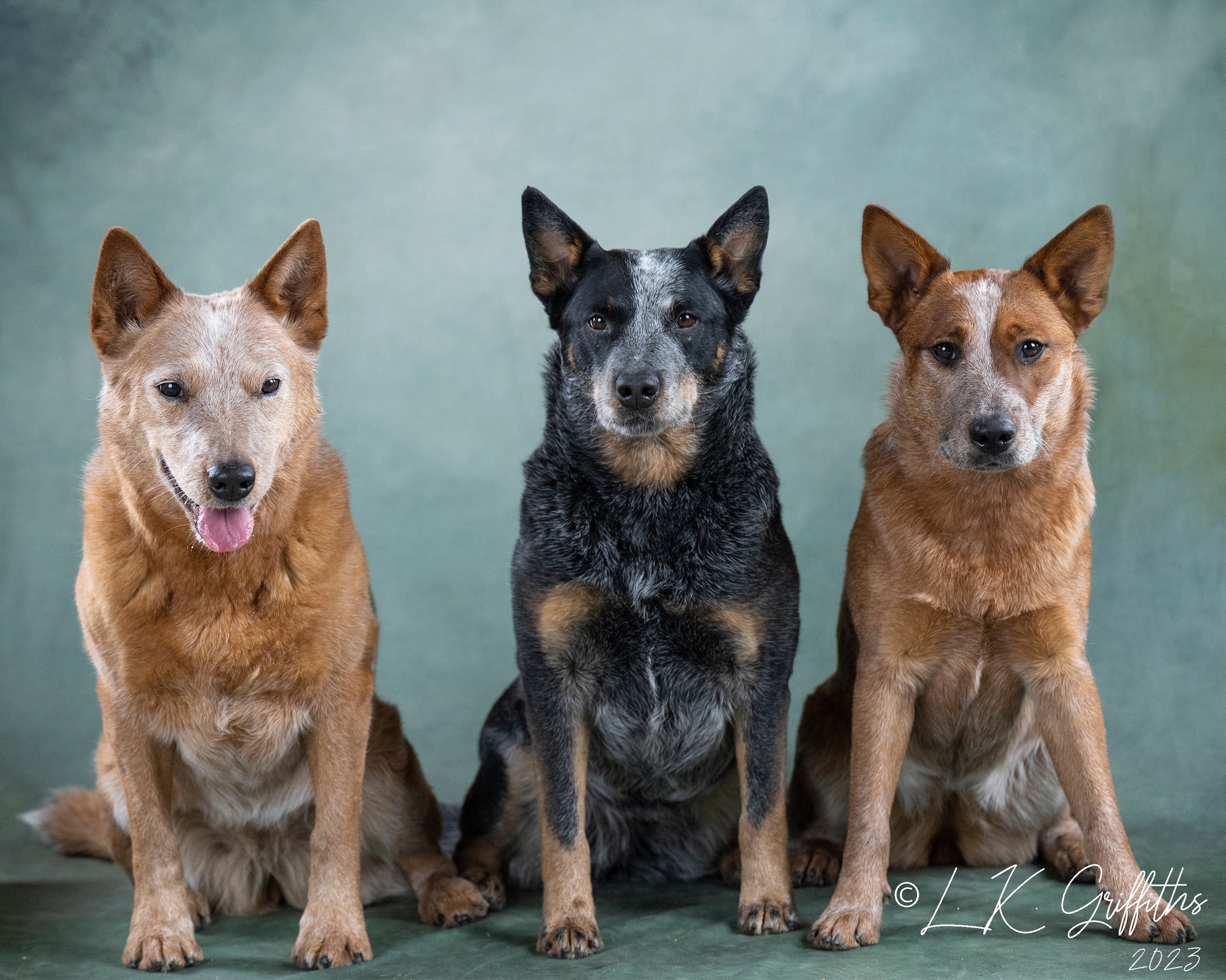 Kate Green Abstract Backdrop Portrait Designed by GQ - Kate Backdrop AU