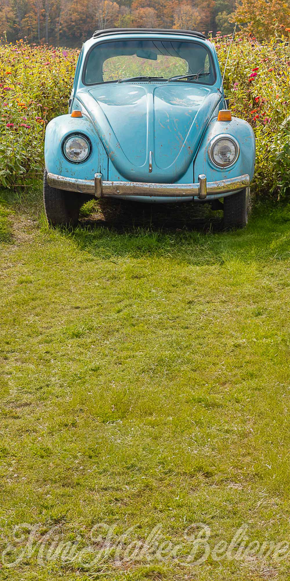 Kate Sweep Muddy Blue Buggy Backdrop for Photography Designed by Mini Makebelieve